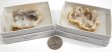 Quartz Geode, Large, Gift Box - 5 Pieces