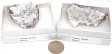 'Tranca' Geode, Large, Gift Box - 5 Pieces