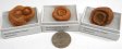 Stromatolite Fossil, Small, Gift Box - 5 Pieces