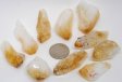 Citrine with Inclusions - 10 Pieces