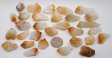 Citrine Points with Phantoms & Inclusions Lot #3