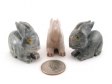 Soapstone Rabbit, Medium - 5 Pieces