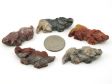 Soapstone Horned Lizard, Small - 5 Pieces