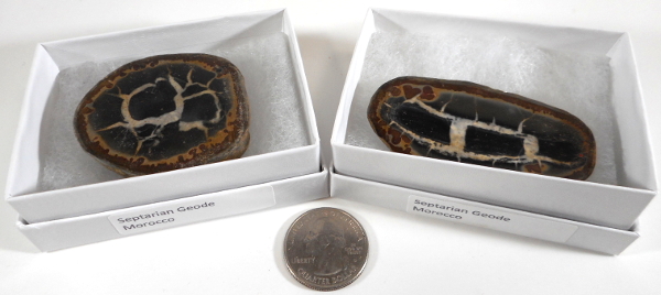 Septarian Geode, Large, Gift Box - 5 Pieces
