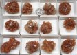 Aragonite 'Stars' Half Flat #1