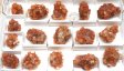 Aragonite 'Stars' Half Flat #2