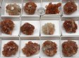 Aragonite 'Stars' Half Flat #2