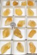 Citrine, Half Flat #1