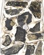 Pyrite in Shale Half Flat #1