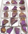 Purpurite Half Flat #2