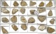 Pyrite Half Flat #5
