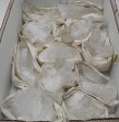 Quartz Half Flat #2