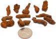 Coprolite Lot #2
