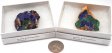 Azurite & Brochantite, Large, Gift Box - 5 Pieces