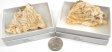 Barite, Large, Gift Box - 5 Pieces