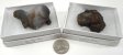 Botryoidal Agate, Large, Gift Box - 5 Pieces