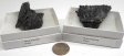Black Kyanite, Large, Gift Box - 5 Pieces