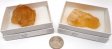 Citrine, Large, Gift Box - 5 Pieces
