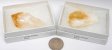 Citrine Crystal, Large, Gift Box - 5 Pieces