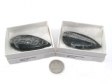 Orthoceras Fossil, Polished, Gift Box, Large - 5 Pieces