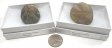 Sea Urchin Fossil, Large, Gift Box - 5 Pieces