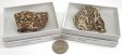 Leopardskin Agate, Large, Gift Box - 5 Pieces