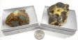 Septarian Agate, Large, Gift Box - 5 Pieces