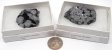 Snowflake Obsidian, Large, Gift Box - 5 Pieces