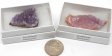 Amethyst, Medium, Gift Box - 5 Pieces