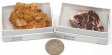 Dolomite, Medium, Gift Box - 5 Pieces