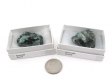 Emerald, Medium, Gift Box - 5 Pieces