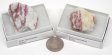 Pink Tourmaline, Medium, Gift Box - 5 Pieces