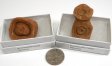 Stromatolite Fossil, Medium, Gift Box - 5 Pieces