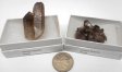 Smoky Quartz Clusters, Medium, Gift Box - 5 Pieces
