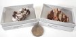 Zebrastone, Brown, Medium, Gift Box - 5 Pieces
