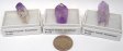'Dragon Tooth' Amethyst, Small, Gift Box - 5 Pieces