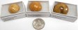 Sea Urchin Fossil, Polished, Small, Gift Box - 5 Pieces