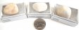 Pumice, Small, Gift Box - 5 Pieces