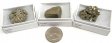 Pyrite, Small, Gift Box - 5 Pieces