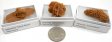 Selenite 'Sand Rose', Small, Gift Box - 5 Pieces