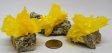 Yellow Arcanite Specimen