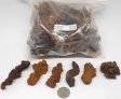 Coprolite (Fossil Dung) - 3 Pounds