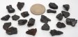 Nan Tan Meteorites - 20 Pieces