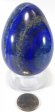 Lapis Lazuli Egg #5