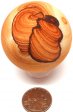 Sandstone Sphere #9