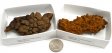 Coprolite ( Fossil Dung ) - 2 1/2 to 3 1/2 Inch