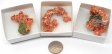 Native Copper Specimen