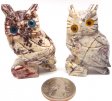 Stoned Owls Pair