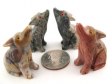 Soapstone Coyote, Small - 5 Pieces