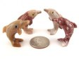 Soapstone Dolphin, Small - 5 Pieces